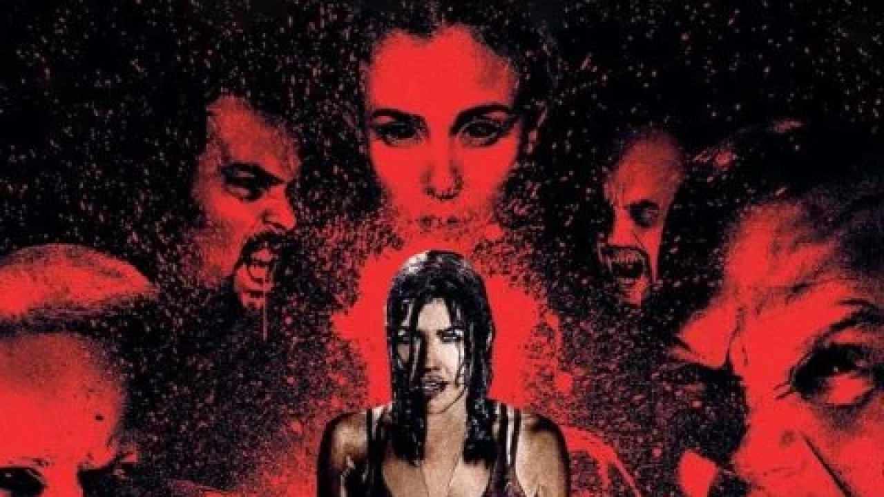 30 Days of Night: Dark Days ( 2010 )