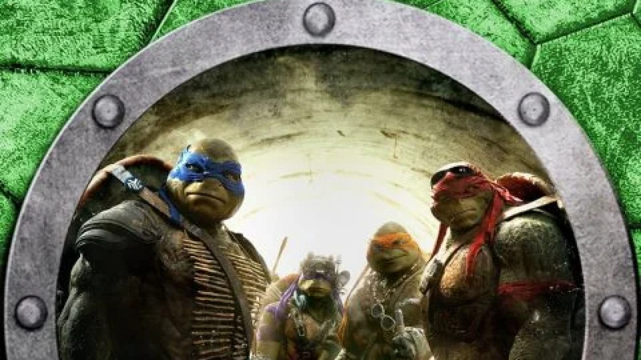 Teenage Mutant Ninja Turtles ( 2014 )