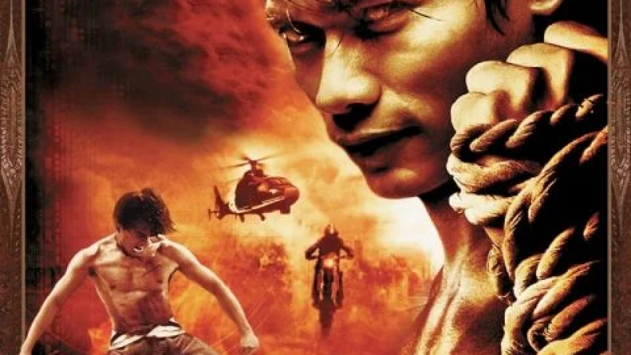 The Protector ( 2005 )